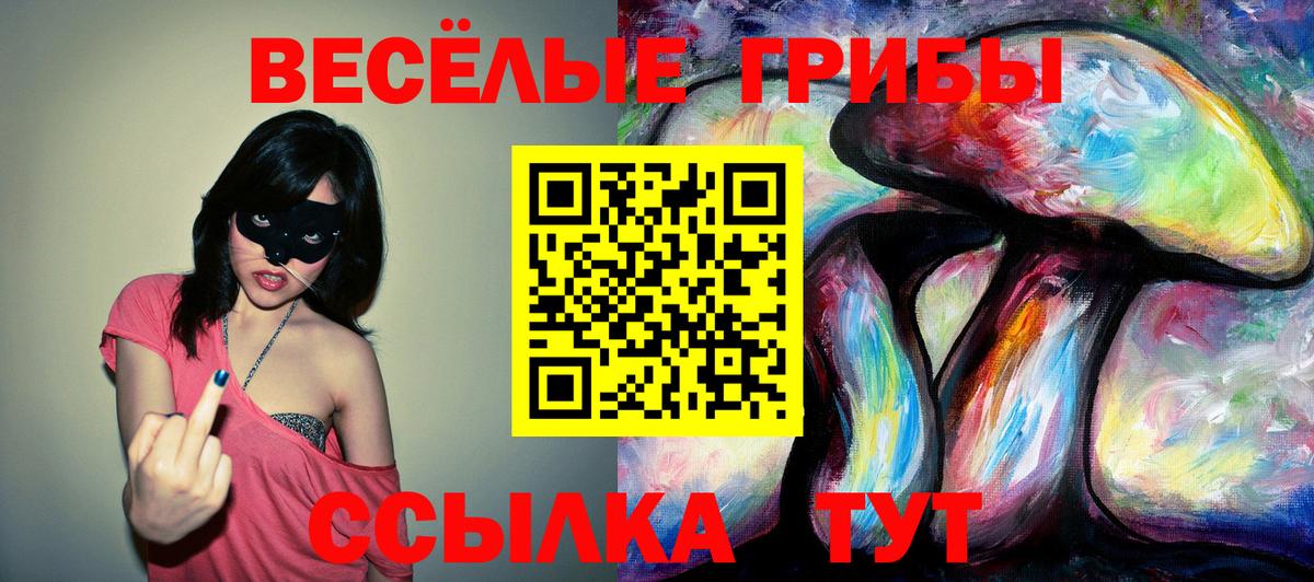 Псилоцибиновые грибы Magic Shrooms  Вход с VPN  купить наркотик  Ртищево 
